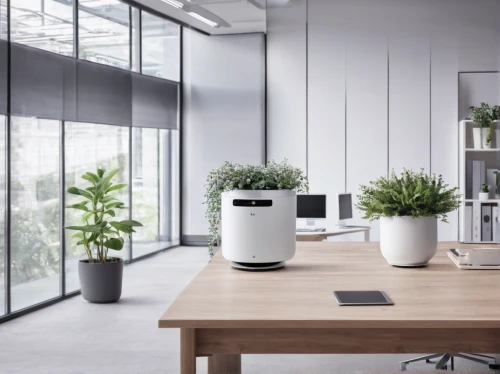 air purifier,google-home-mini,smart home,computer speaker,modern decor,blur office background,office automation,google home,modern office,electric kettle,polar a360,mac pro and pro display xdr,smarthome,industrial design,digital bi-amp powered loudspeaker,beautiful speaker,working space,contemporary decor,office icons,nest easter,Photography,Documentary Photography,Documentary Photography 27