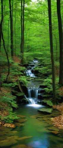 green waterfall,green trees with water,green forest,aaa,flowing creek,mountain stream,green landscape,forest landscape,riparian forest,mountain spring,aa,green wallpaper,greenforest,streams,germany forest,northern hardwood forest,patrol,beech forest,cascading,fairytale forest,Conceptual Art,Daily,Daily 18