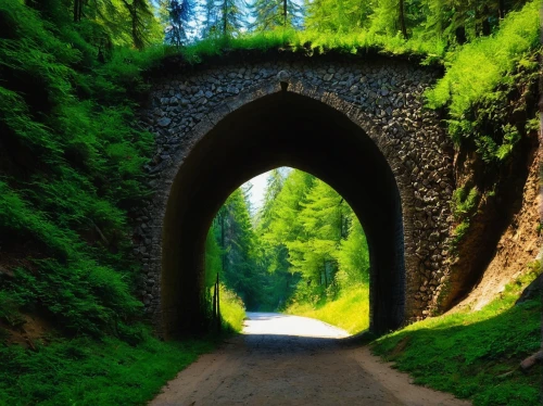 wall tunnel,tunnel,tunnel of plants,plant tunnel,canal tunnel,train tunnel,slide tunnel,lötschberg tunnel,hollow way,aaa,railway tunnel,torii tunnel,red canyon tunnel,lava tube,natural arch,archway,germany forest,oregon,heaven gate,railroad trail,Illustration,Abstract Fantasy,Abstract Fantasy 14