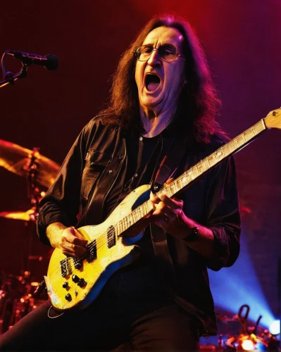 rush,ibanez,testament,keith-albee theatre,guitar solo,lake of fire,joe iurato,marshall,iai lavi,ervin hervé-lóránth,temples,frankfurt,brian,itamar kazir,cliff,death angel,cyril,eagles,domestic long-haired cat,guitor,Art,Artistic Painting,Artistic Painting 33