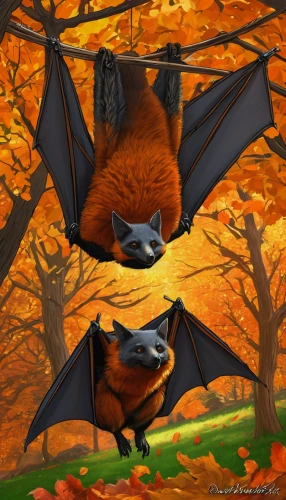 little red flying fox,flying fox,bats,tropical bat,hanging bat,fruit bat,bat,big brown bat,fall animals,pipistrelles,halloween background,vampire bat,autumn icon,halloween illustration,megabat,halloween banner,bat smiley,halloween wallpaper,lantern bat,autumn theme,Conceptual Art,Daily,Daily 07