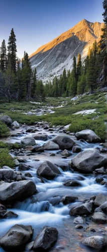mountain stream,flowing creek,mountain river,salt meadow landscape,flowing water,mountain spring,rushing water,glacial melt,water flow,white mountains,landscape photography,river landscape,rapids,paine national park,water flowing,altai,yosemite,mountain meadow,united states national park,mountain landscape,Illustration,Black and White,Black and White 26