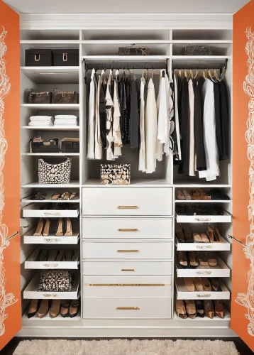 walk-in closet,storage cabinet,closet,wardrobe,shoe cabinet,women's closet,dresser,drawers,armoire,lisaswardrobe,shoe organizer,organized,metal cabinet,organization,cupboard,shelving,chest of drawers,cabinetry,room divider,search interior solutions,Illustration,Vector,Vector 21