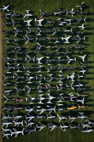 rows of planes,french military graveyard,flock,aerial shot,flugshow,group of birds,drone shot,parked boat planes,drone image,formation flight,flock of birds,drone photo,overhead shot,airbus a320 family,aerial,overhead view,group photo,bird perspective,mavic 2,a flock of pigeons,Photography,Black and white photography,Black and White Photography 14