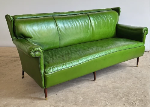 mid century sofa,chaise longue,settee,chaise lounge,armchair,chaise,upholstery,loveseat,wing chair,sofa,seating furniture,sofa set,danish furniture,soft furniture,furniture,slipcover,recliner,sofa cushions,tailor seat,antler velvet,Illustration,Retro,Retro 04