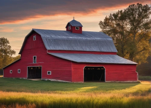 red barn,field barn,farm landscape,barns,wisconsin,farm background,round barn,old barn,barn,farmstead,grain field,fall landscape,landscape red,vermont,rural landscape,hay farm,indiana,landscape photography,quilt barn,country side,Conceptual Art,Fantasy,Fantasy 03