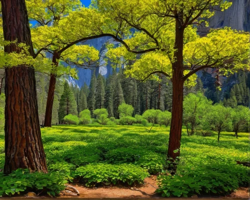 green forest,forest landscape,forest background,fir forest,green trees,tree grove,coniferous forest,green landscape,cartoon forest,fairytale forest,trees with stitching,forest glade,fairy forest,elven forest,landscape background,mixed forest,meadow and forest,background view nature,cartoon video game background,forest tree,Art,Classical Oil Painting,Classical Oil Painting 07