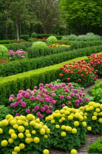 flower borders,garden chrysanthemums,flower border,flower garden,floral border,vegetables landscape,green chrysanthemums,chrysanthemums,garden chrysanthemum,ornamental plants,splendor of flowers,azaleas,perennial plants,gardens,chrysanths,chrysanthemum flowers,flower bed,nature garden,ornamental shrubs,flowering plants,Art,Classical Oil Painting,Classical Oil Painting 18