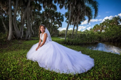 wedding photography,quinceanera dresses,wedding photographer,wedding dresses,wedding dress train,bridal clothing,wedding photo,wedding dress,spanish moss,bridal party dress,wedding gown,bridal dress,portrait photographers,quinceañera,hoopskirt,blonde in wedding dress,southern belle,ruskin fl,passion photography,fusion photography,Art,Classical Oil Painting,Classical Oil Painting 12