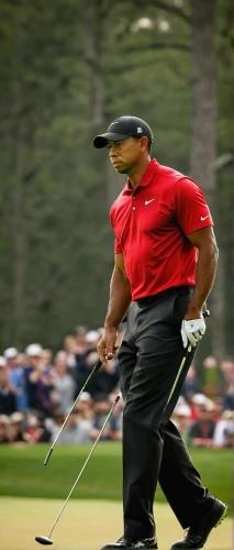 tiger woods,tiger,putter,speed golf,pitching wedge,gifts under the tee,golf player,professional golfer,solid swing+hit,golf swing,the golf ball,putting,golf game,sand wedge,golfer,fourball,putt,woods,goat,golfvideo,Photography,Documentary Photography,Documentary Photography 26