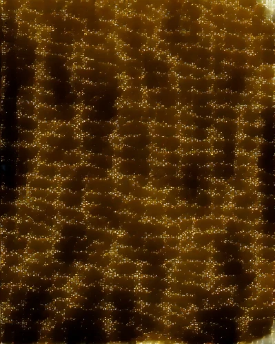 varroa,coffee background,venus surface,acropora,coffee stains,honeycomb grid,apis mellifera,halftone background,varroa destructor,brown fabric,basket fibers,wave pattern,honeycomb structure,gold foil laurel,yellow wallpaper,seamless texture,abstract gold embossed,ghost pattern,knitted christmas background,venus comb