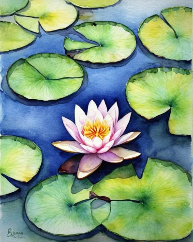 lotus on pond,pond lily,water lotus,waterlily,water lilies,water lilly,water lily,lotus,white water lilies,lotus flowers,lotus pond,lotus blossom,pond flower,lotus flower,white water lily,lily pond,lotus art drawing,lily pad,lotuses,sacred lotus,Illustration,Japanese style,Japanese Style 12