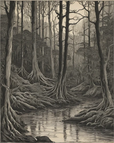 swampy landscape,riparian forest,bayou,swamp,brook landscape,the roots of the mangrove trees,old-growth forest,forest landscape,floodplain,mangroves,tidal marsh,eastern mangroves,northern hardwood forest,the roots of trees,freshwater marsh,deciduous forest,the ugly swamp,wetland,the forests,forests,Illustration,Black and White,Black and White 28