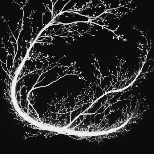 branches,the branches of the tree,the branches,magic tree,tendrils,branching,tree branches,neurons,tree lights,branch swirl,branched,tree silhouette,branch swirls,celtic tree,wondertree,tree of life,tree branch,branch,neural pathways,old tree silhouette,Conceptual Art,Graffiti Art,Graffiti Art 05