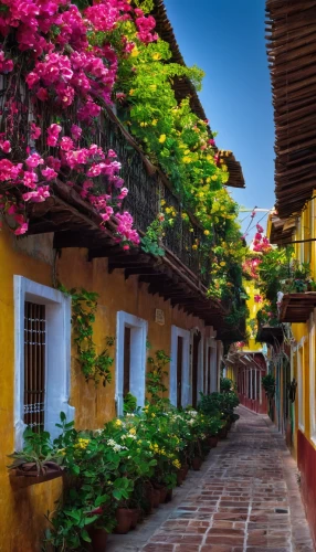 antigua guatemala,zona colonial,city unesco heritage trinidad cuba,nicaraguan cordoba,cartagena,bougainvilleas,altos de chavon village,trinidad cuba old house,cusco,hacienda,colombia,bougainvillea,historic old town,townhouses,the cobbled streets,antigua,old colonial house,santa barbara,old town,spain,Art,Classical Oil Painting,Classical Oil Painting 16