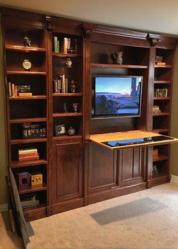 entertainment center,tv cabinet,secretary desk,cabinetry,television set,home theater system,tv set,switch cabinet,bookcase,computer desk,bonus room,writing desk,bookshelves,family room,game room,cabinet,bookshelf,cabinets,flat panel display,storage cabinet,Illustration,Realistic Fantasy,Realistic Fantasy 18