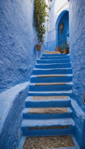 majorelle blue,morocco,puglia,greece,santorin,greek island,winding steps,santorini,cat greece,greek islands,riad,aegean,oia,djerba,steps,blue doors,amorgos,lakonos,karpathos,mykonos,Photography,Documentary Photography,Documentary Photography 07