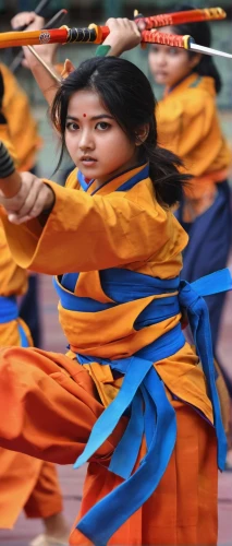 vovinam,silambam,color guard (flag spinning),shaolin kung fu,sambo (martial art),japanese martial arts,wushu,traditional sport,taijiquan,bhutan,dobok,pencak silat,folk-dance,silat,ethnic dancer,eskrima,baton twirling,haidong gumdo,folk dance,kungfu,Illustration,Japanese style,Japanese Style 03