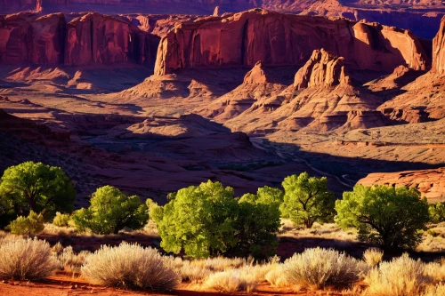 arid landscape,desert desert landscape,desert landscape,united states national park,arches national park,fairyland canyon,valley of fire,valley of fire state park,arid land,arid,red rock canyon,moon valley,grand canyon,flaming mountains,natural landscape,landscapes beautiful,capture desert,canyon,monument valley,national park,Unique,Paper Cuts,Paper Cuts 01