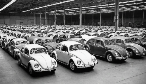 volkswagen delivery,volkswagen beetle,volkswagen,beetles,volkswagen new beetle,volkswagon,volkswagen 181,volkswagen vw,vw beetle,vw,mg cars,volkswagen brasilia,fiat500,fiat 500,vw model,fiat 518,the beetle,automobiles,fiat 501,willys,Photography,Artistic Photography,Artistic Photography 10