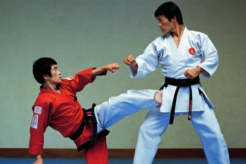 sambo (martial art),shorinji kempo,hapkido,tang soo do,haidong gumdo,taekkyeon,kajukenbo,japanese martial arts,sōjutsu,battōjutsu,kurash,marine corps martial arts program,daitō-ryū aiki-jūjutsu,dobok,martial arts,vovinam,aikido,kenjutsu,jeet kune do,taekwondo,Illustration,Realistic Fantasy,Realistic Fantasy 26