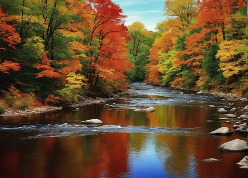 fall landscape,autumn scenery,colors of autumn,autumn idyll,raven river,autumn landscape,flowing creek,autumn background,fall foliage,vermont,autumn forest,mountain river,mountain stream,river landscape,splendid colors,autumn colors,west virginia,upper michigan,new england,autumn color,Art,Artistic Painting,Artistic Painting 22