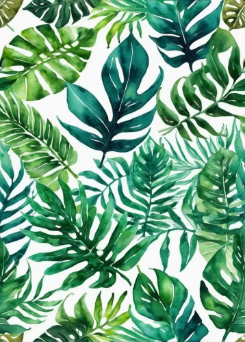 botanical print,tropical leaf pattern,tropical greens,seamless pattern,monstera,tropical floral background,tropical leaf,watercolor leaves,foliage leaves,jungle leaf,background pattern,seamless pattern repeat,watercolor background,palm leaves,leaf pattern,green leaves,green wallpaper,fern fronds,vector pattern,leaf background,Illustration,Japanese style,Japanese Style 09