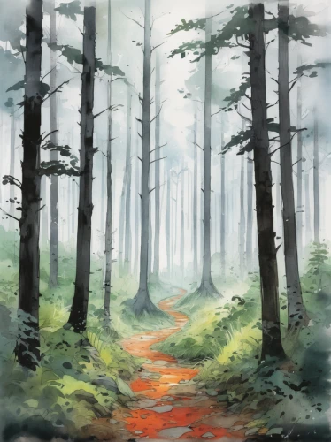 foggy forest,forest landscape,forest path,forest background,forest,coniferous forest,fir forest,elven forest,watercolor background,forest glade,forests,autumn forest,forest road,spruce forest,mixed forest,forest walk,the forest,forest of dreams,deciduous forest,pine forest,Illustration,Paper based,Paper Based 07