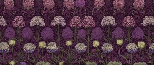 floral digital background,flowers png,muscari,muscari armeniacum,fritillaria,lavender flowers,fritillaria imperiali,chives field,graph hyacinth,fritillaria aurora,floral border,lavandula,lavenders,lavender bunch,floral background,tulip background,the imperial fritillary,grape hyacinths,flowers pattern,japanese floral background,Illustration,Paper based,Paper Based 27