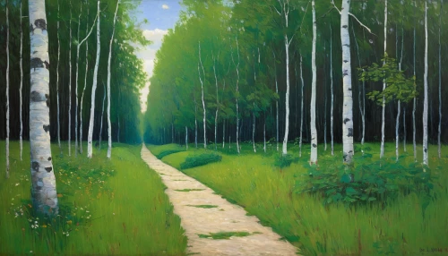 birch alley,birch forest,forest path,forest road,forest landscape,tree lined path,pathway,tree lined lane,green forest,birch trees,row of trees,coniferous forest,pine forest,hiking path,tree-lined avenue,green landscape,spruce forest,wooden path,forest glade,forest background,Illustration,Abstract Fantasy,Abstract Fantasy 17