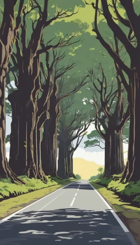 forest road,the road,maple road,the dark hedges,road,row of trees,long road,open road,country road,fork road,tree lined lane,roads,cartoon forest,tree lined,tree-lined avenue,beech trees,mountain road,the trees,the road to the sea,empty road,Illustration,Japanese style,Japanese Style 06