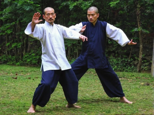 baguazhang,taijiquan,daitō-ryū aiki-jūjutsu,shorinji kempo,aikido,sōjutsu,qi gong,shaolin kung fu,kajukenbo,battōjutsu,kenjutsu,haidong gumdo,iaijutsu,japanese martial arts,sambo (martial art),dobok,wing chun,buchardkai,karate,shidokan,Illustration,Paper based,Paper Based 21