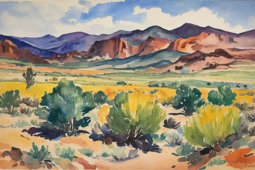 desert landscape,desert desert landscape,sonoran desert,mesquite flats,sonoran,joshua trees,red rock canyon,arid landscape,desert,desert plants,albuquerque,the desert,desert background,spitzkoppe,arizona-sonora desert museum,watercolor cactus,arizona,mojave desert,tucson,kayenta,Art,Classical Oil Painting,Classical Oil Painting 09