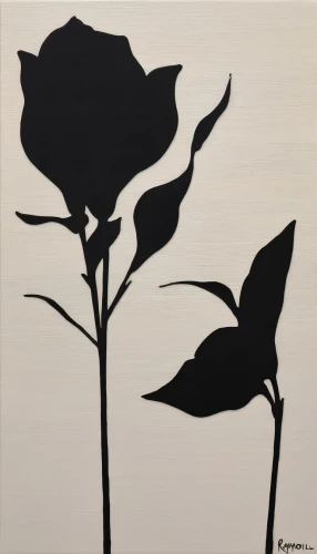 minimalist flowers,black rose,flower painting,callas,retro flower silhouette,three flowers,black hellebore,bicolored rose,calla lilies,silhouette art,frame rose,ikebana,rose flower drawing,art silhouette,bibernell rose,black rose hip,cloves schwindl inge,lisianthus,rose woodruff,flower art,Illustration,Black and White,Black and White 33