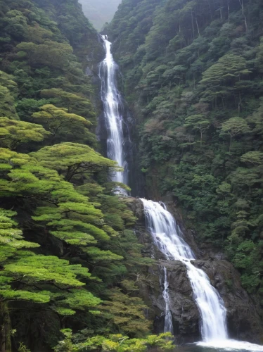 green waterfall,yakushima,azores,valdivian temperate rain forest,the azores,bridal veil fall,reunion island,water falls,shizuoka prefecture,gioc village waterfall,shimane peninsula,waterfalls,kauai,acores,ash falls,the chubu sangaku national park,paparoa national park,moc chau tea hills,wasserfall,madeira,Conceptual Art,Daily,Daily 29