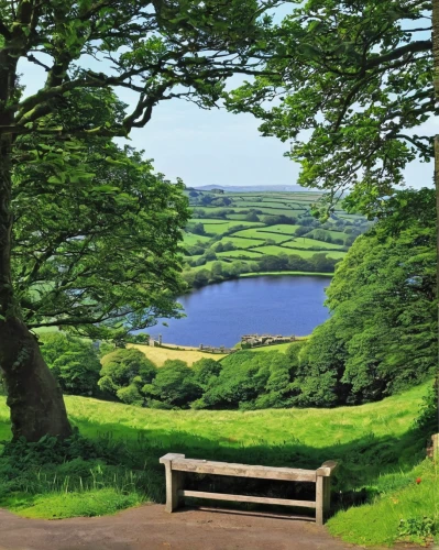 bench by the sea,isle of may,donegal,bench,loch venachar,park bench,exmoor,loch,wooden bench,park lake,red bench,chair in field,northern ireland,ireland,landscape background,benches,garden bench,outdoor bench,hunt seat,antrim,Illustration,American Style,American Style 14