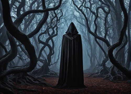 hooded man,grimm reaper,the dark hedges,haunted forest,cloak,grim reaper,dark art,dance of death,ghost forest,dark gothic mood,hollow way,halloween bare trees,forest dark,gothic portrait,gothic,vader,the woods,dark world,gothic woman,halloween poster,Photography,Black and white photography,Black and White Photography 04