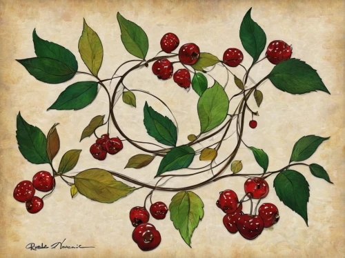 rowanberry,holly wreath,holly berries,rose hip berries,mistletoe berries,rosehip berries,red berries,rosehips,rose hips,watercolor christmas pattern,ripe rose hips,rose hip bush,green rose hips,red mulberry,rowanberries,jewish cherries,rose hip,cherry branch,rose hip plant,rose hip fruits,Illustration,Black and White,Black and White 05