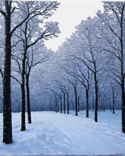 snow trees,winter forest,winter landscape,snow landscape,winter background,snowy landscape,hoarfrost,winter wonderland,row of trees,snow scene,bare trees,tree grove,birch forest,walnut trees,tree-lined avenue,treemsnow,ash-maple trees,deciduous forest,deciduous trees,wintry,Conceptual Art,Fantasy,Fantasy 16