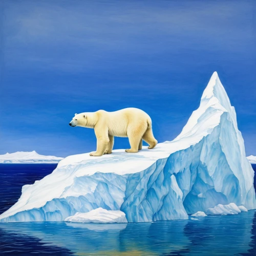 sea ice,iceberg,arctic ocean,ice floe,icebergs,polar,ice bears,aurora polar,polar ice cap,antarctic,ice bear,global warming,polar bear,polar bears,arctic antarctica,polar aurora,arctic,icebear,climate protection,ice landscape,Illustration,Retro,Retro 20