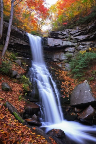 bridal veil fall,fall landscape,cascading,ash falls,falls of the cliff,brown waterfall,fall foliage,a small waterfall,water falls,bridal veil,ilse falls,falls,cascades,water fall,waterfall,waterfalls,cheonjiyeon falls,in the fall,cascade,fall,Illustration,Realistic Fantasy,Realistic Fantasy 25