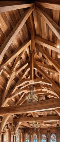 wooden beams,roof truss,wooden roof,vaulted ceiling,ceiling construction,roof structures,wood structure,hall roof,burr truss,patterned wood decoration,timber framed building,wooden construction,wooden frame construction,folding roof,laminated wood,ceiling fixture,western yellow pine,ceiling,knotty pine,log home,Illustration,Realistic Fantasy,Realistic Fantasy 43