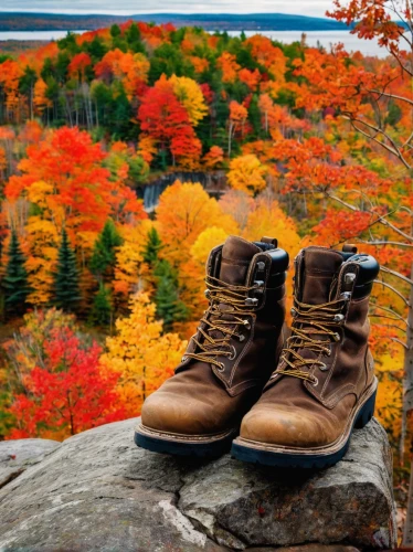 hiking boots,leather hiking boots,mountain boots,hiking boot,fall colors,fall landscape,hiking shoes,autumn background,fall foliage,fall,fall season,autumn mountains,hiking shoe,colors of autumn,steel-toe boot,women's boots,steel-toed boots,in the fall,autumn color,autumn colors,Illustration,American Style,American Style 10