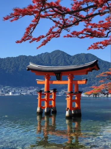 senbon torii,torii,miyajima,beautiful japan,japan's three great night views,japan landscape,japan,japanese shrine,shinto,shinto shrine,the japanese tree,japanese architecture,japanese sakura background,kyoto,淡島神社,torii tunnel,japan garden,japanese background,sakura trees,sakura tree,Illustration,Japanese style,Japanese Style 09