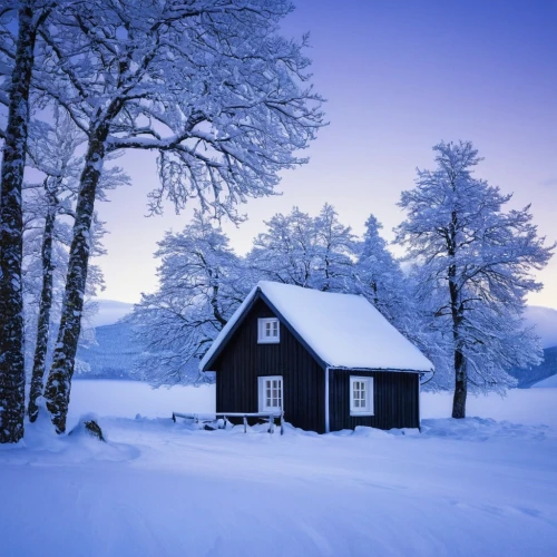 winter house,winter landscape,snowy landscape,winter background,snow landscape,snow house,nordic christmas,snow shelter,wintry,snow scene,winters,winter morning,winter dream,finnish lapland,lapland,lonely house,christmas landscape,country cottage,winter magic,in the winter,Photography,Documentary Photography,Documentary Photography 10