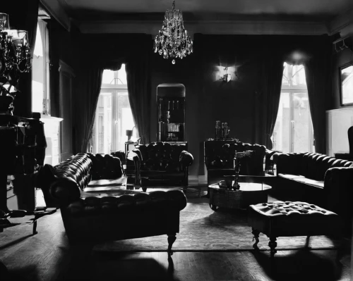 the living room of a photographer,sitting room,a dark room,ornate room,chaise lounge,royal interior,billiard room,wade rooms,livingroom,living room,parlour,dark gothic mood,interior decor,victorian style,stieglitz,antique furniture,armchair,interiors,great room,danish room,Photography,Black and white photography,Black and White Photography 08