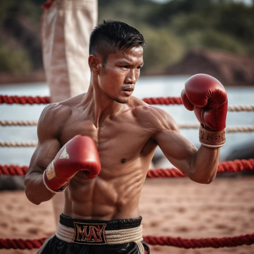 amnat charoen,lethwei,muay thai,shoot boxing,kickboxer,marine corps martial arts program,kickboxing,striking combat sports,siam fighter,combat sport,jeet kune do,boxing,kai yang,professional boxing,bodybuilding supplement,boxing equipment,professional boxer,mohammed ali,chess boxing,savate,Photography,General,Cinematic