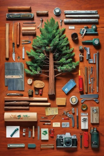 tools,garden tools,pine family,flat lay,toolbox,christmas flat lay,hiking equipment,arborist,craftsman,woodworker,american pitch pine,bushcraft,forestry,art tools,wood tool,woodsman,assemblage,cut tree,objects,cedar,Unique,Design,Knolling