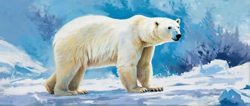 ice bear,polar bear,polar,icebear,white bear,ice bears,polar bears,aurora polar,polar aurora,nordic bear,polar cap,polar bear children,arctic,young polar bear,landseer,polar bare coca cola,tundra,great bear,bear kamchatka,bear,Conceptual Art,Oil color,Oil Color 10