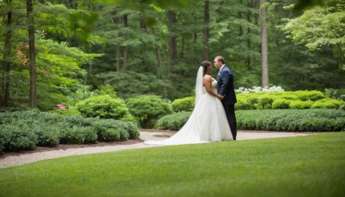 brookgreen gardens,wedding photography,wedding photographer,wedding photo,walking down the aisle,wedding couple,bride and groom,wedding frame,south carolina,weeding,crape myrtle,wedding dresses,tree lined path,the ceremony,silver wedding,artificial grass,newlyweds,pre-wedding photo shoot,loblolly pine,beautiful couple,Art,Artistic Painting,Artistic Painting 47